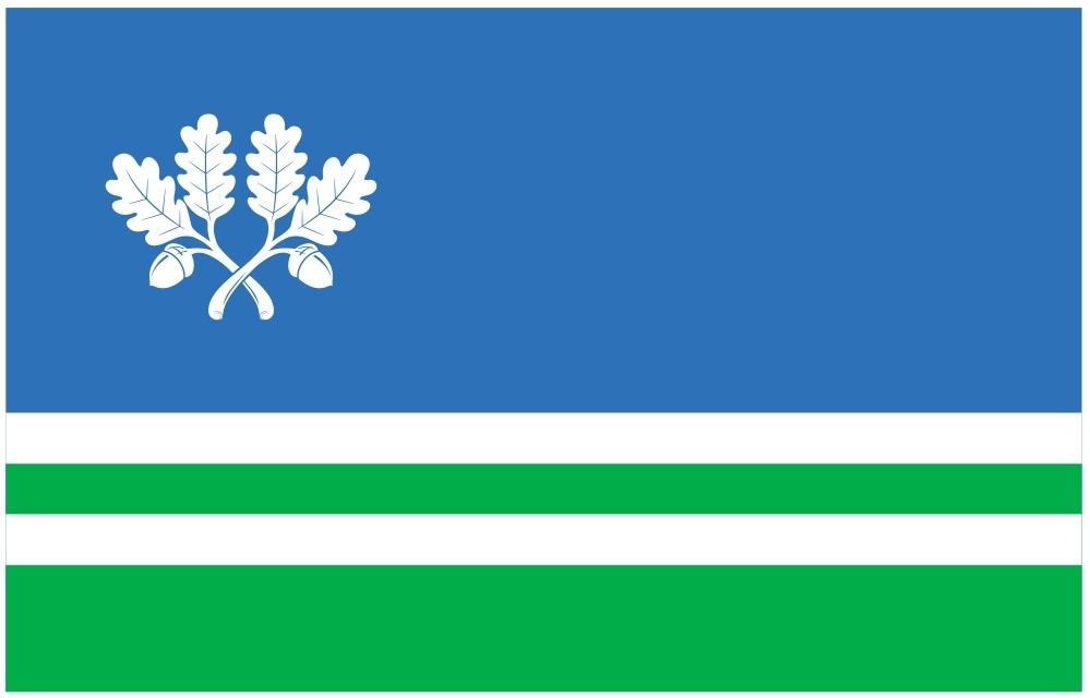 Tapa valla lipp.jpg